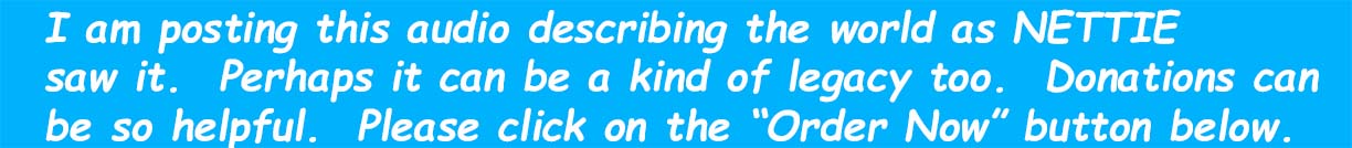 NETTIE AUDIO HEADER 05